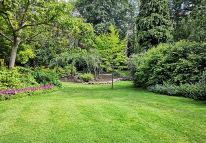 Optimiser l'expérience du jardin à Rouesse-Vasse
